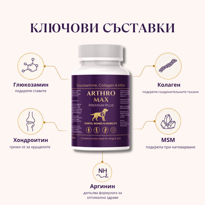 ARTHRO MAX
