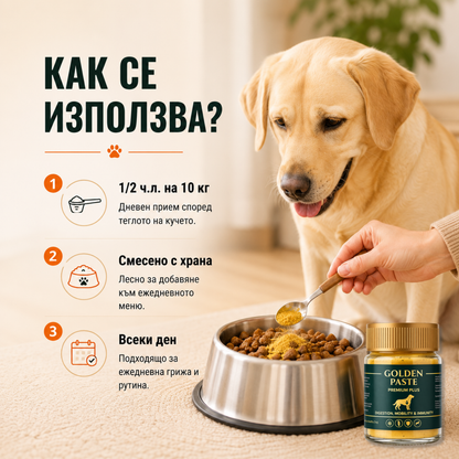 GOLDEN PASTE