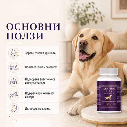 ARTHRO MAX