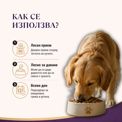 Пълен пакет грижа за стави, подвижност и имунитет